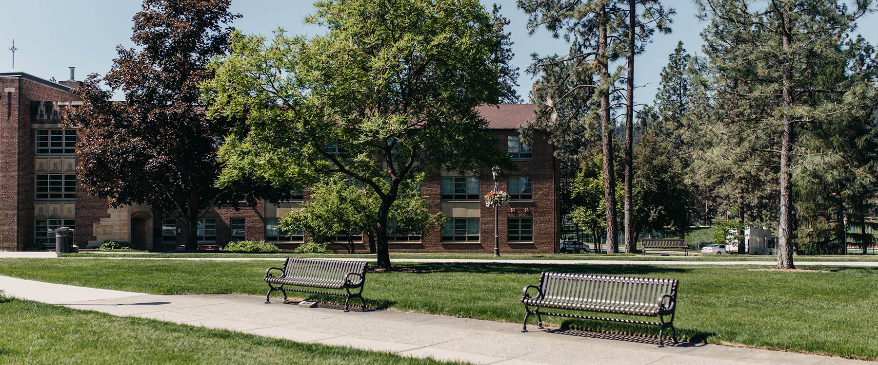 Two benches in front of a tree on Whitworths campus, on a sunny day with a clear blue sky.