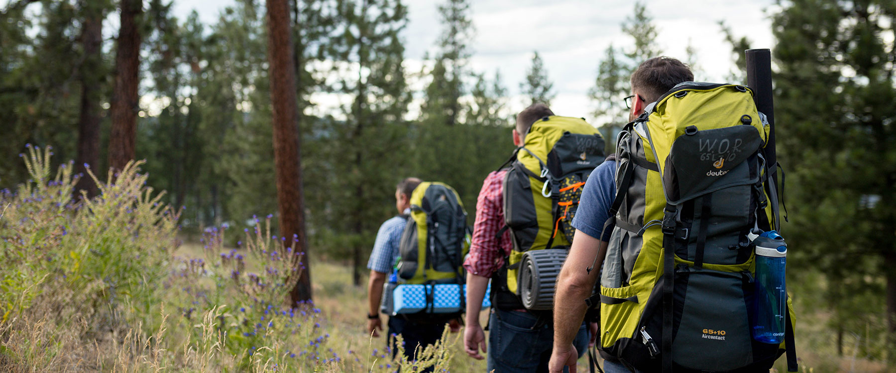 Three students with large backpacks hike through a forest of pine trees. 