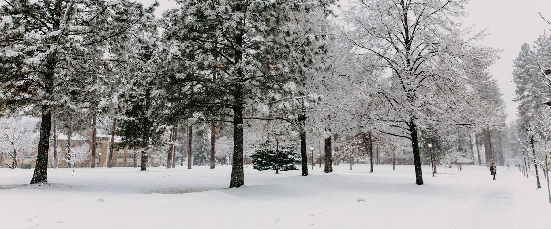Snow falls on a scenic landscape of stately trees and academic buildings. To the right, students walk along a shoveled path.