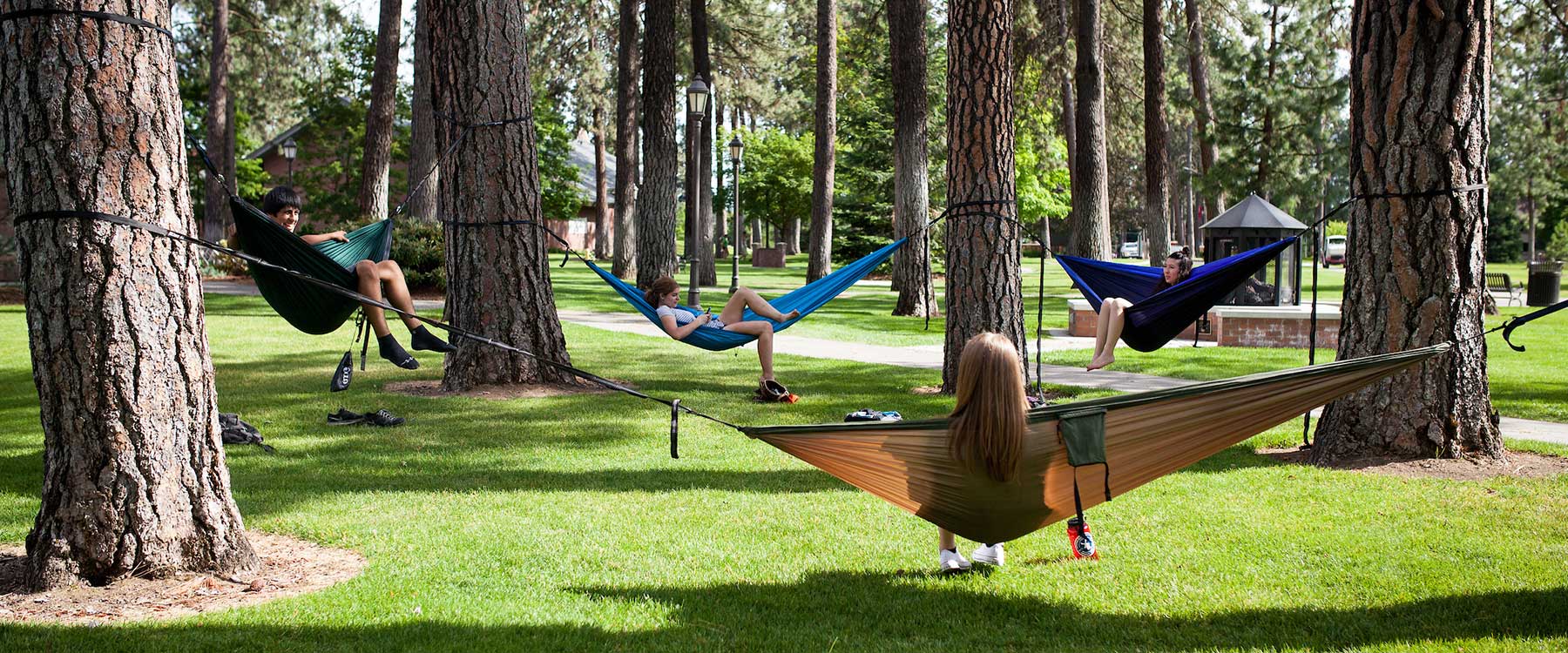 Campus scene with students sitting in hammocks