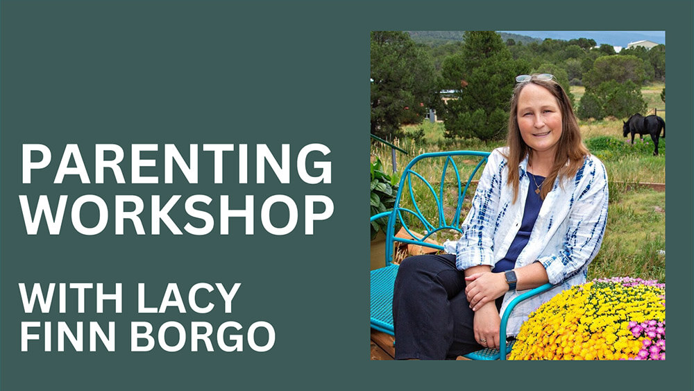 Parenting workshop with Lacy Finn Borgo