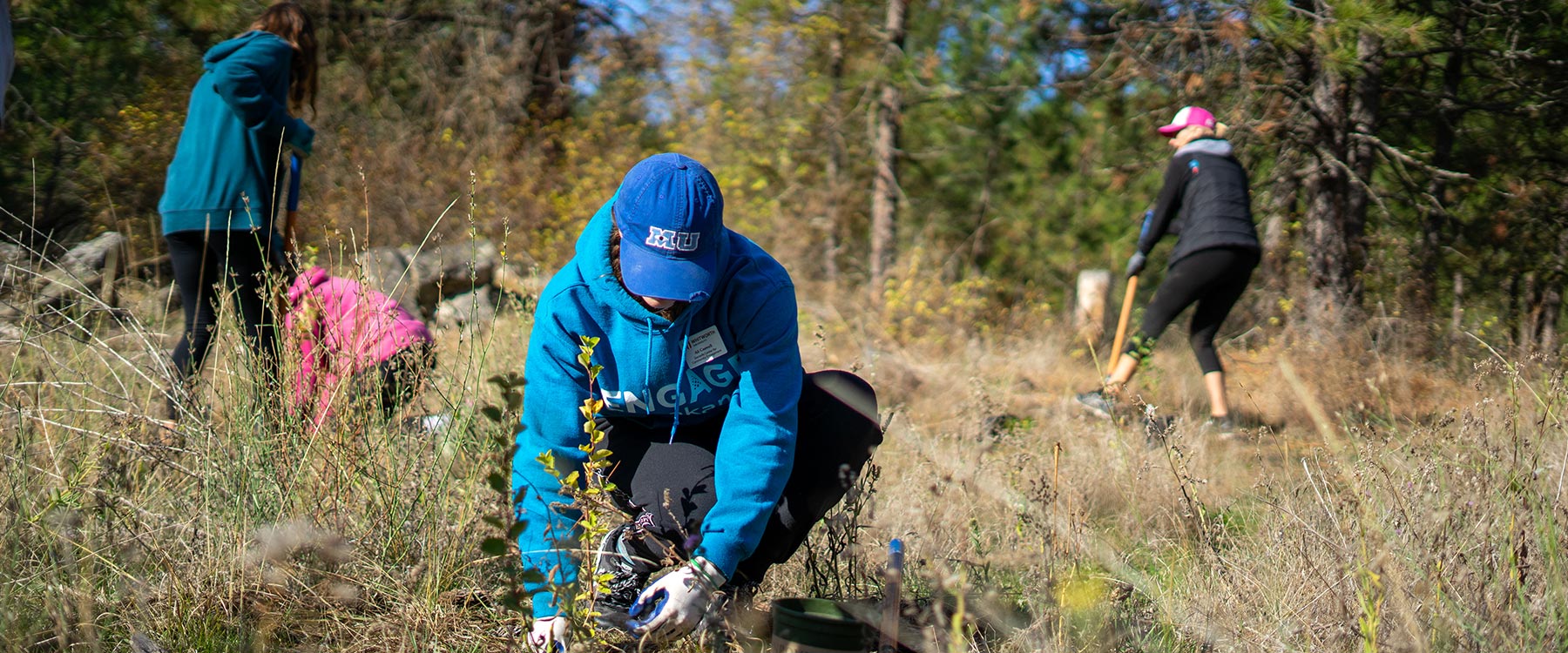 Students and other community volunteers plant trees in a forest during a community event.