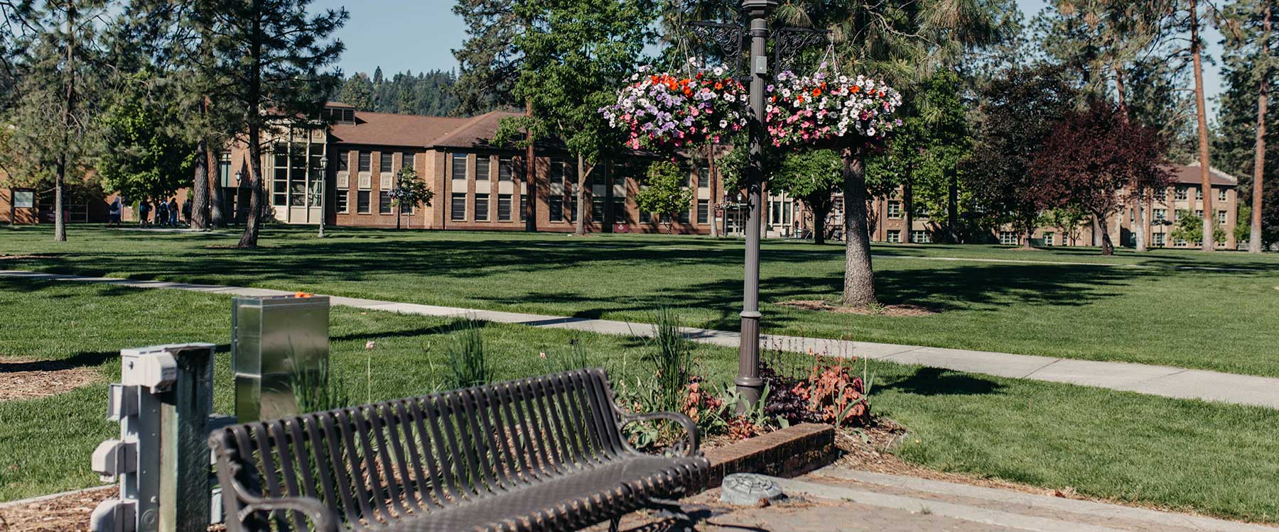 A hanging basket in bloom on Whitworths campus