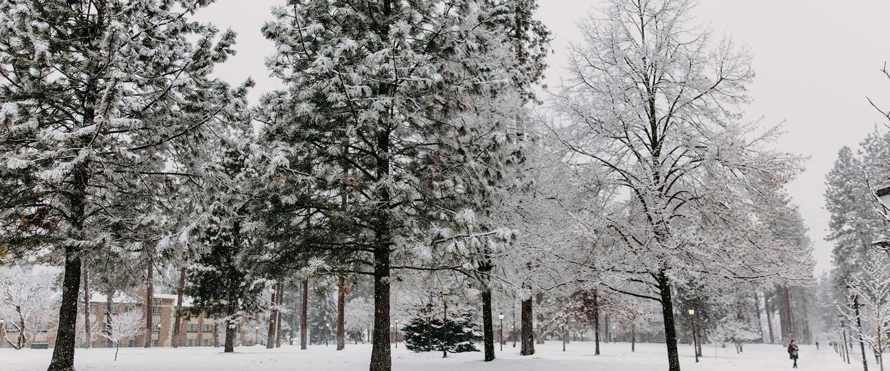 Whitworths campus in Winter