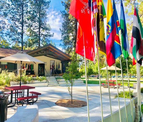 Outdoor area with picnic tables, a building, and multiple international flags on poles under a blue sky.