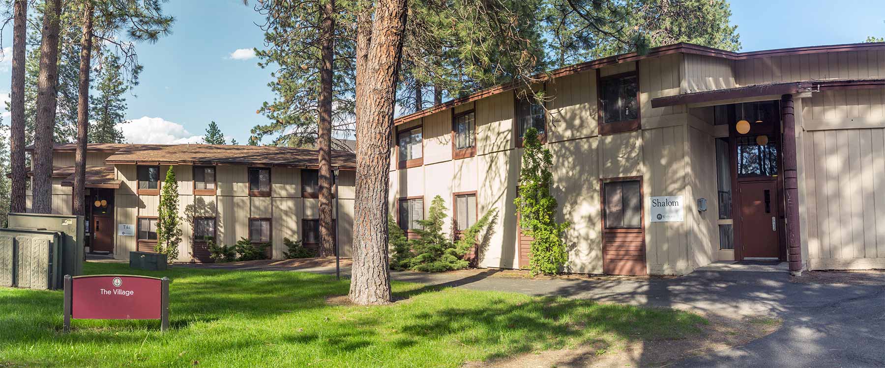 Two small two-story buildings with beige vertical siding beneath a canopy of pine trees.