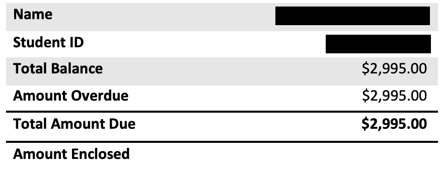 Screenshot example of an anonymous students account activity summary.
