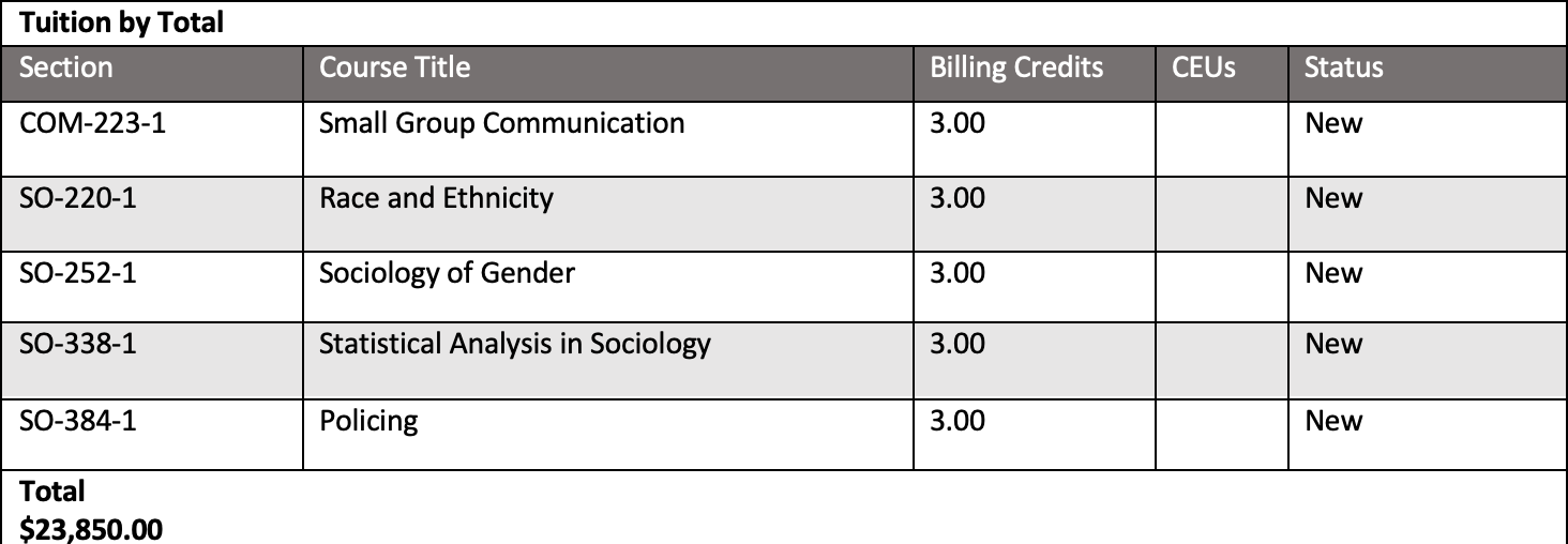 Sample spreadsheet showing an anonymous students tuition totals for one term.