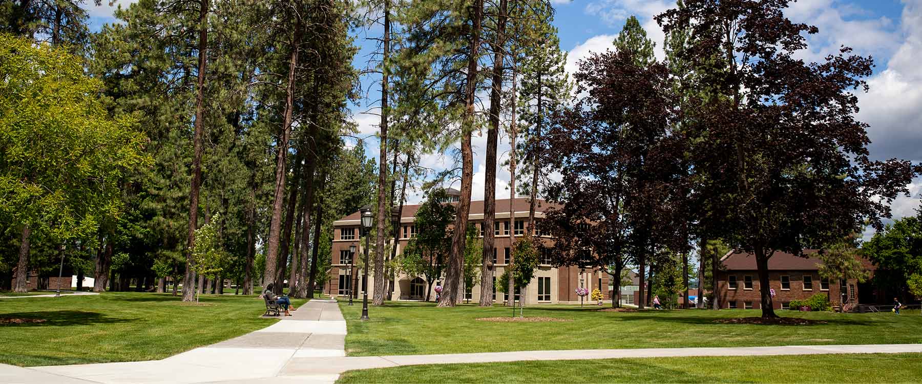 A university campus with tall trees, a brick building in the background, and a grassy area with sidewalks in the foreground.