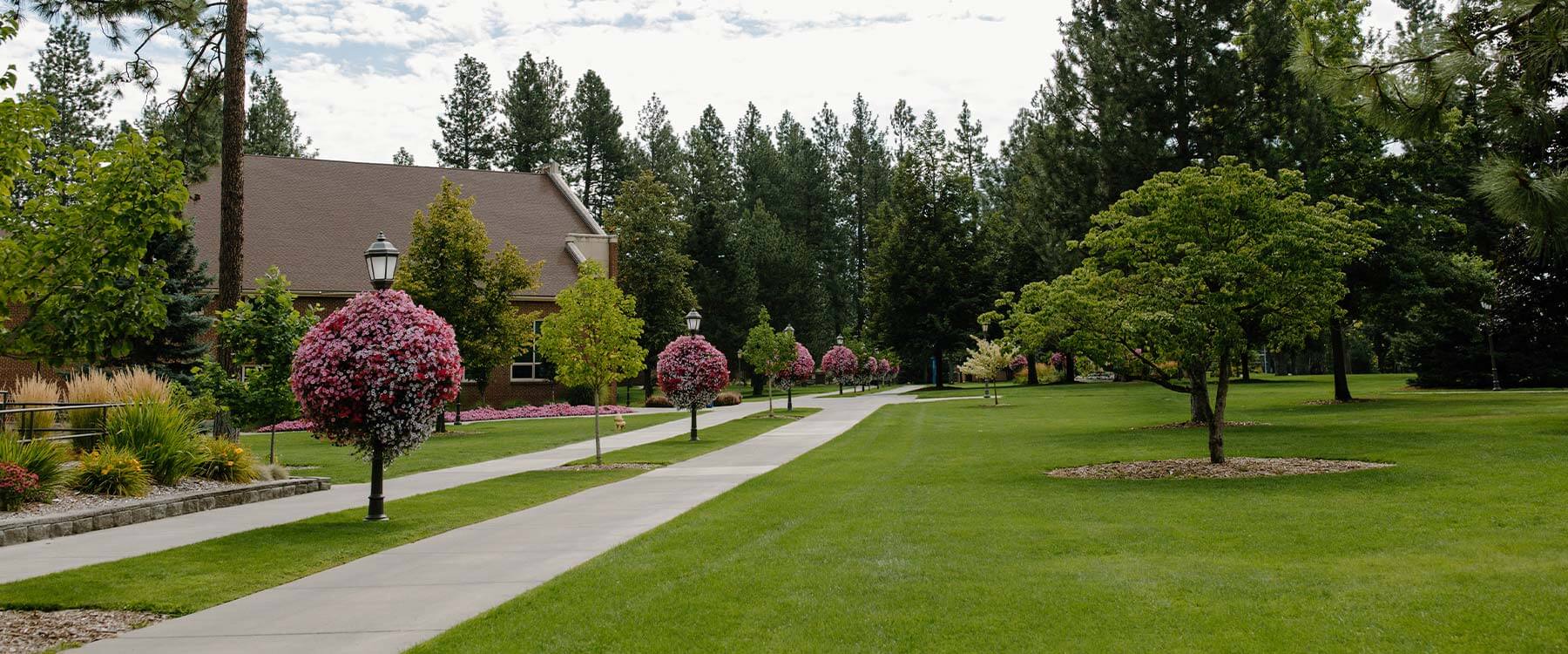 Path with trees