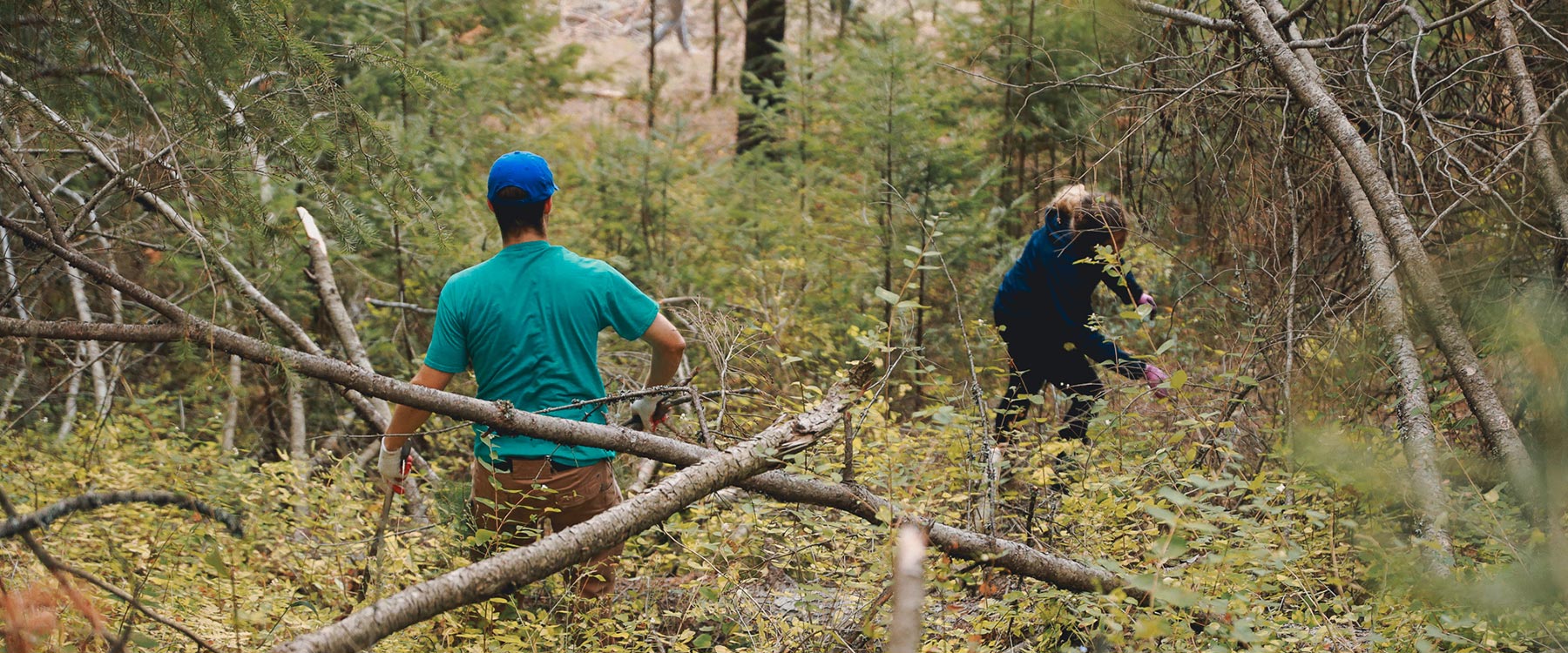 Two students wearing outdoor gear hike through a dense forest with fallen branches and tall grass.