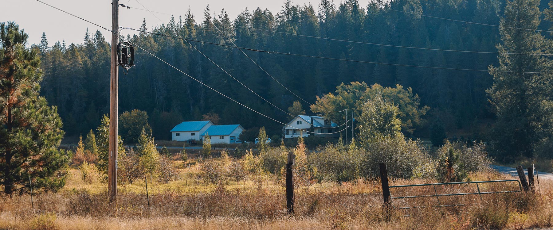 A rural landscape with two houses among trees, power lines, and a dirt path going through a fence in the foreground.