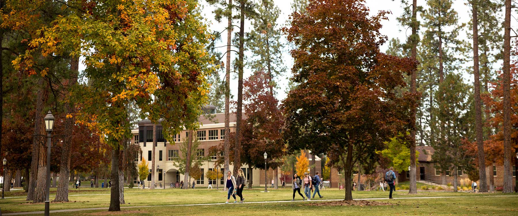 Students walk on campus