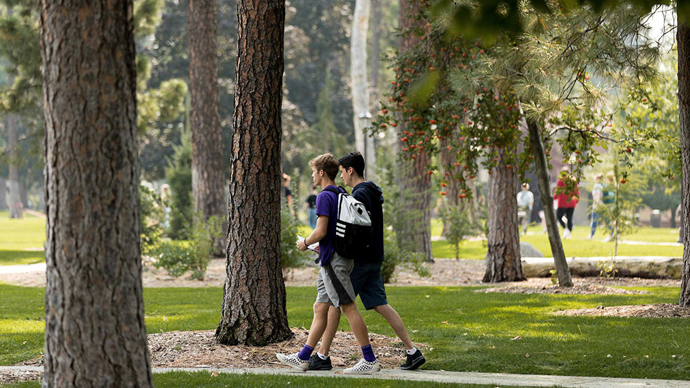 Two students walking down a path with trees on either side.