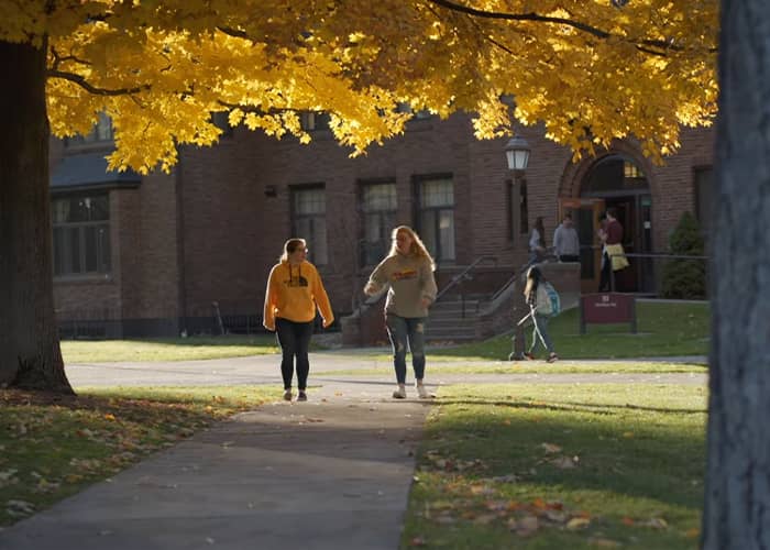 Two students walk beneath a tree with yellow autumn foliage just outside of a brick academic building.
