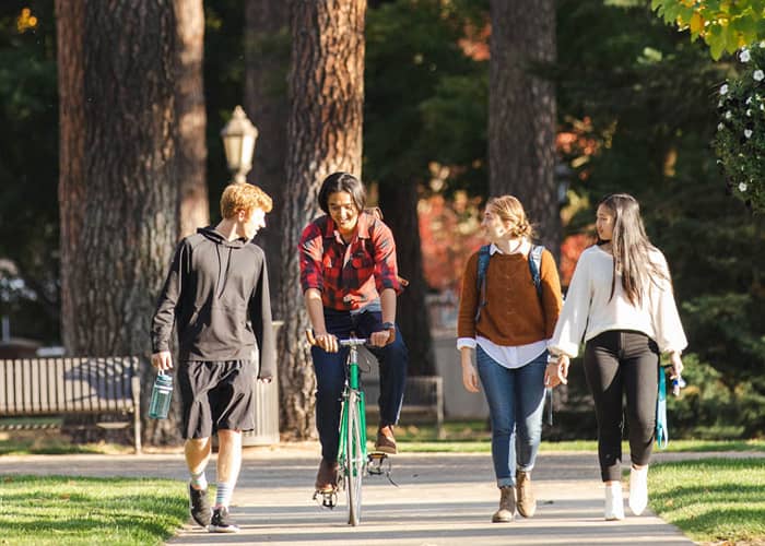 Four students, one on a bike, walk and ride down a sunny sidewalk beneath tall trees.