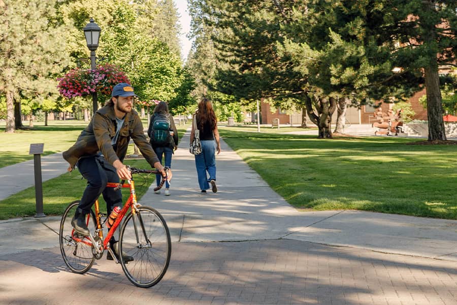 A student on a bike crosses paths with two students on foot on a sunny day.