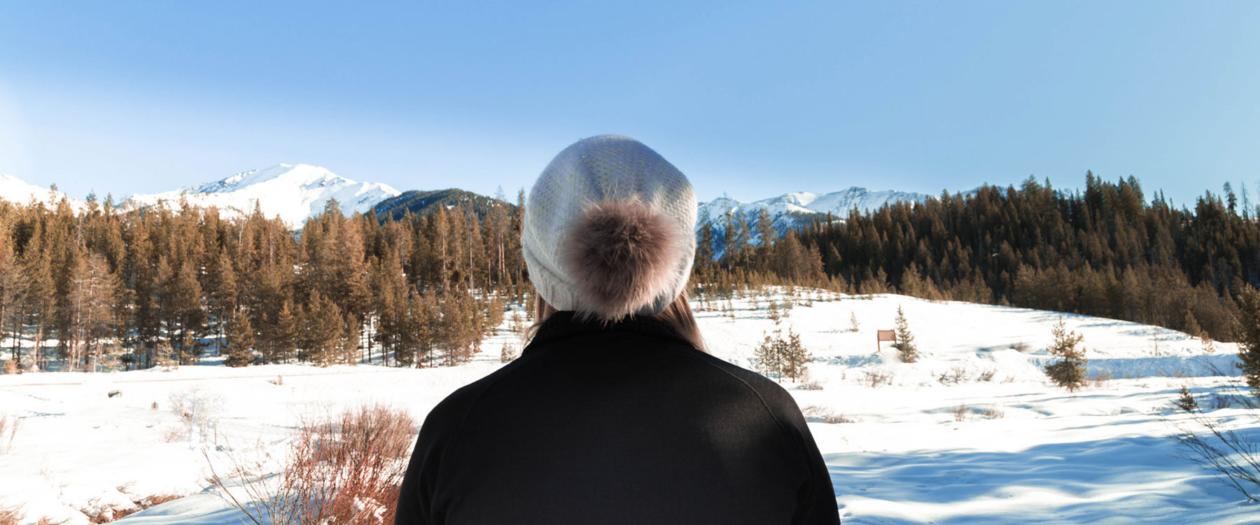 Person in a winter coat and beanie facing snowy mountains and pine trees under a clear blue sky.