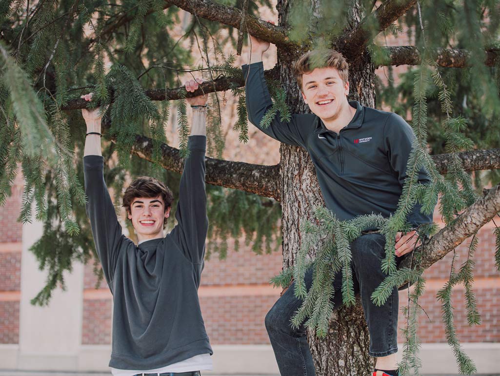 Two students smile and balance on tree limbs in a tree outside an academic building.